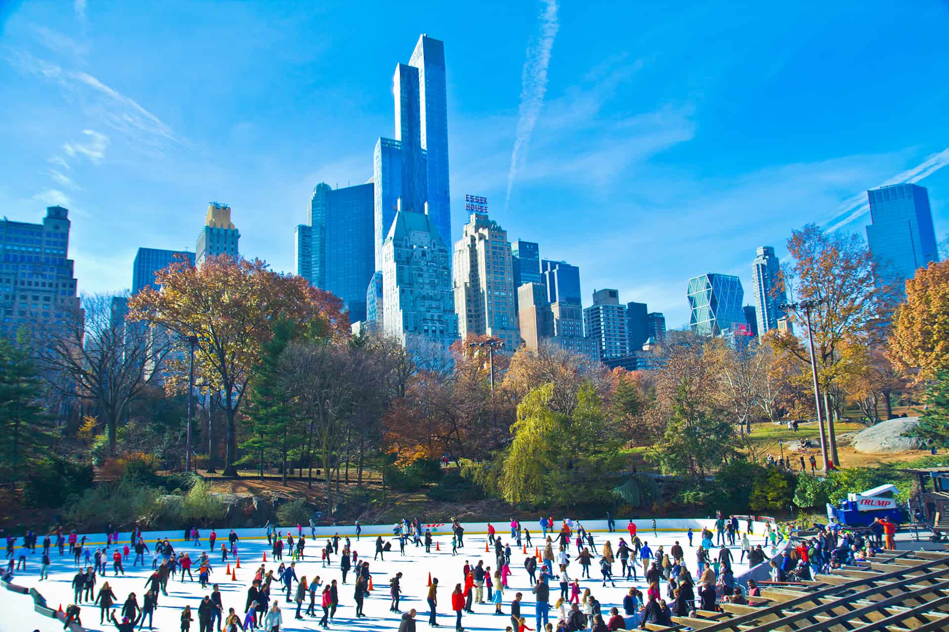 ice rink new york central park