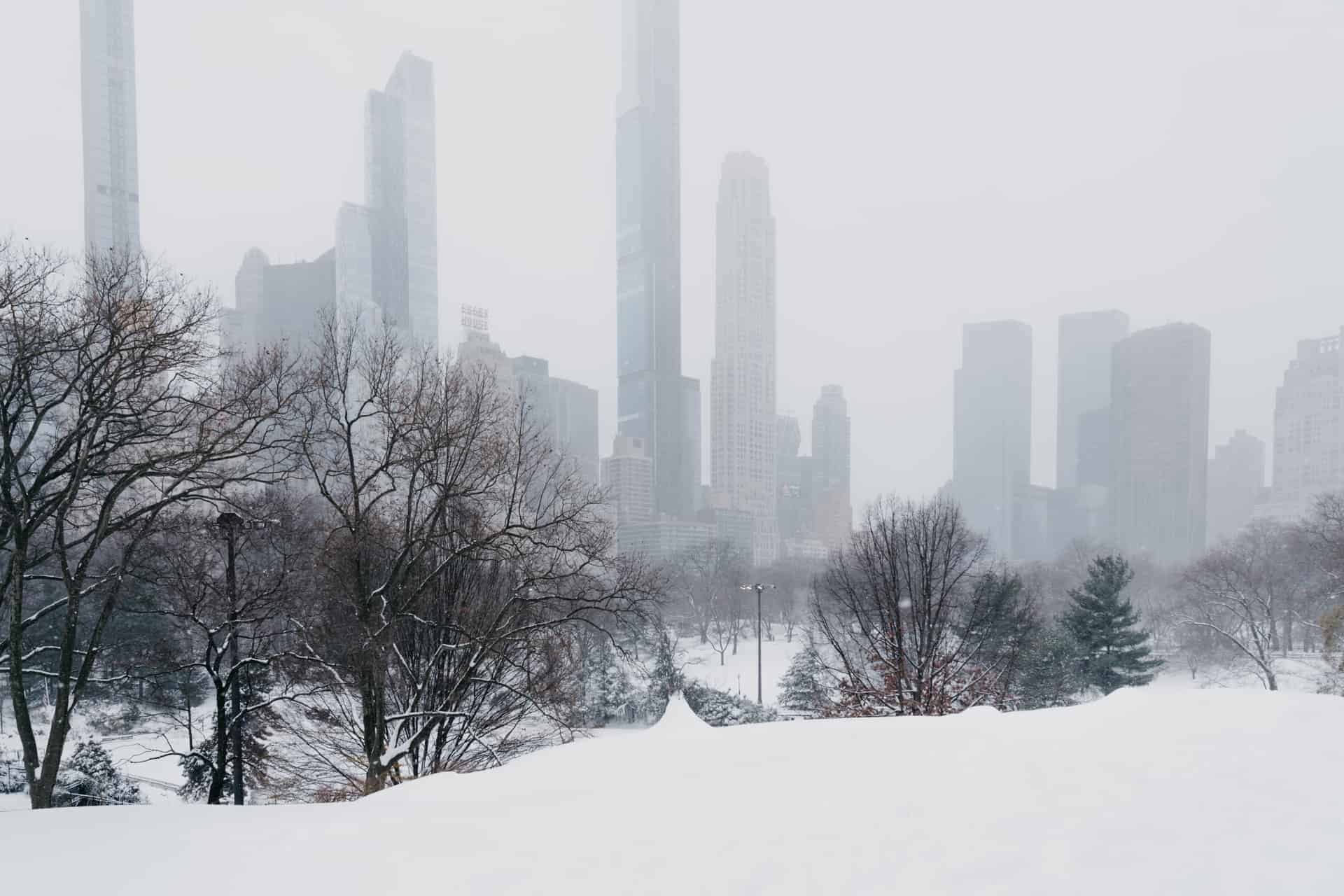 New York in February