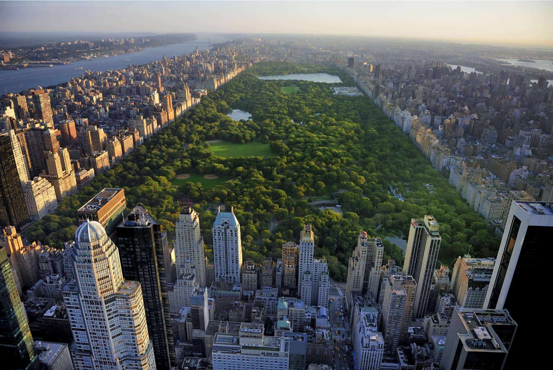 aerial view central park